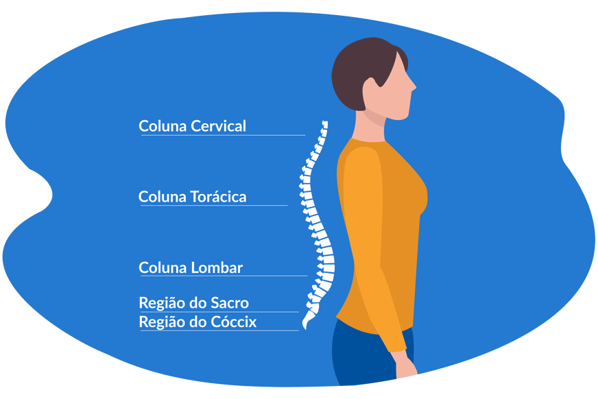 Imagem das vértebras de uma coluna, subdividida nas 5 partes.